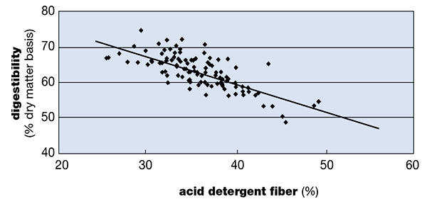 Comparison of ADF to in vitro digestibility of alfalfa.